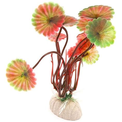 Plante d'aquarium / décoration d'aquarium artificielle - Feuilles rondes rouges
