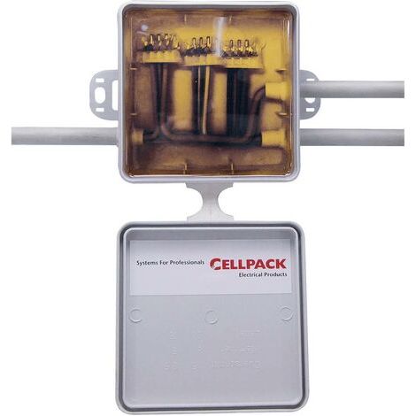 CELLPACK 362412 ARMOIRE ÉLECTRIQUE 362412 420083 (1/4)