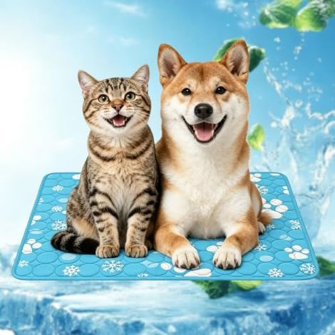 Kühlmatten Hunde 100 x 70cm Kühltdecke für Hunde, Hundedecke Sommer mit Schneeflocken-Hundepfote, Washbares Haustier Kühlmatte für Kleine und mittelgroße Haustiere (1/5)
