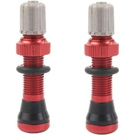 1 Paire de Valve à Air Tubeless 40Mm pour VéLo de et VTT Tubeless Tige de Valve Universelle Schrader 10Mm Base (1/5)