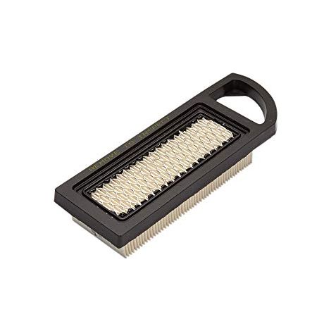 Cartuccia filtro aria Briggs e Stratton 795115 (1/3)