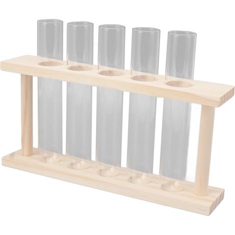 Terrarium transparent en forme de tube à essai pour plantes, permettant d'observer leur croissance. Ce terrarium est fourni avec un support en bois et un réservoir d'eau. (1/5)