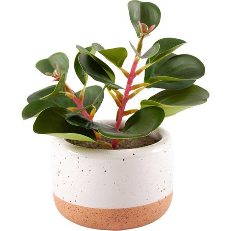 Pianta succulenta artificiale in vaso, 12,5X10,5H17 cm (kit da 3) (1/2)