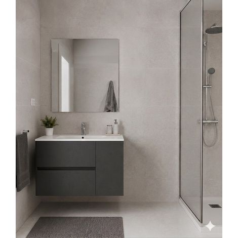 Mobile Bagno HEIMDALL Già Montato 2 cassetti e porta, lavabo e specchio Grafite 80x45 cm