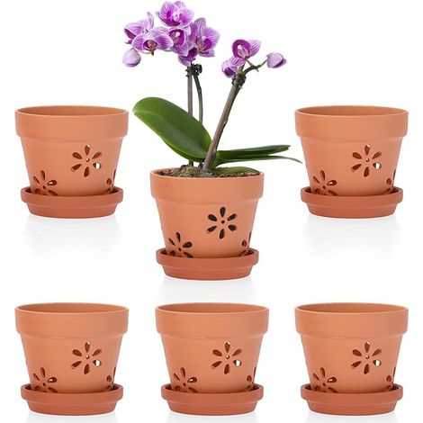 Terracotta Flower Pots with Holes and Saucers, 6pcs, 10x8cm (1/5)