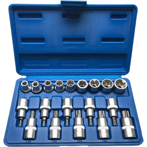 Torx Stecknuss Satz 19-teilig E10 bis E24 und T20 bis T70 1/2 Zoll