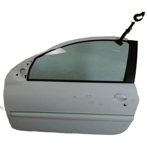 Porte Avant Gauche PEUGEOT 206 [PRODUIT D'OCCASION]♻️9002k6 (1/3)