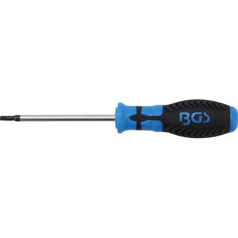 Destornillador  con perfil en T (para Torx) T25  Longitud de cuchilla 100 mm (1/4)