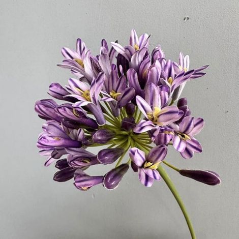 Large Artificial Agapanthus Long Stem,Large Vase Silk Plants for Home Decor Wedding Bouquet Office (3, Purple, 26 inch) VASE (1/4)