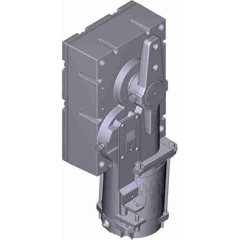 Motoriduttore Motore Elettrico Gard 12 Barriera Ricambio CAME 119RIG200