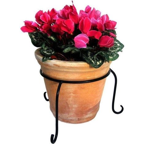 Flower Pot Ring - 8'' Diameter - Single