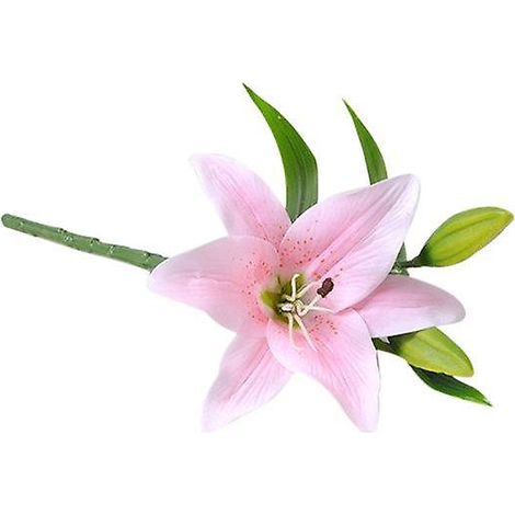 fleur de lys artificielle, fausse plante, décoration pour la maison, le bureau, un café, un mariage ou une fête.rose (1/5)