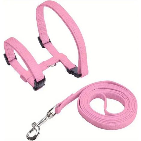 Harnais et Laisse pour Chat, Ensemble de Harnais Réglable et Confortable pour Promenade et Sécurité (1/5)
