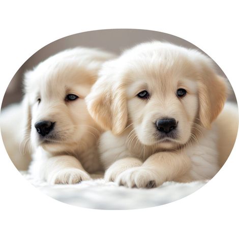 Almohada decorativa con forma de labrador, peluche original (1/3)