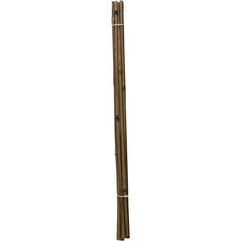 Tonkinstab 60cm Ø 6/7 mm 10er Pack Pflanzstab