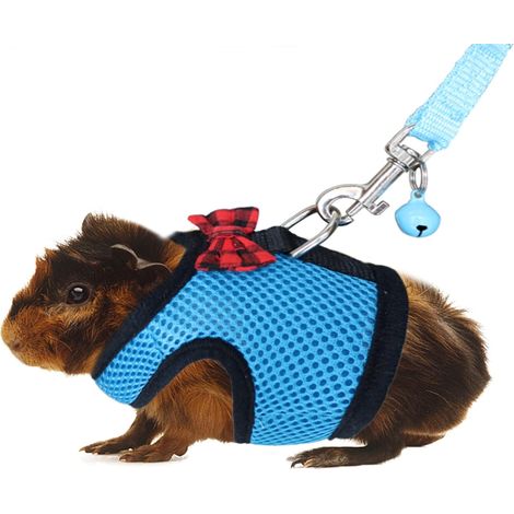 Harnais Pour Cochon D Inde - Maille Respirante Ajustable Avec Clochette - Pour Cobaye Furet Chinchilla Et Petits Animaux - 1 Piece (1/5)