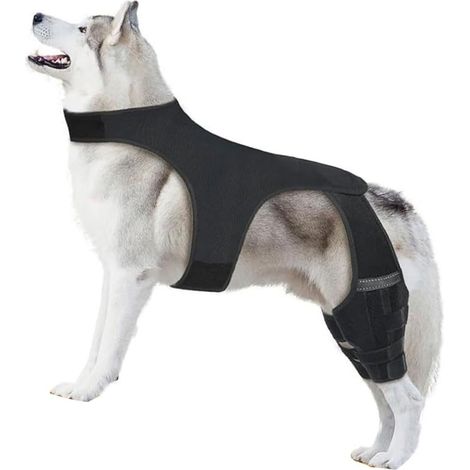 Genouillère réglable en néoprène respirant pour chien âgé actif après chirurgie (1/5)