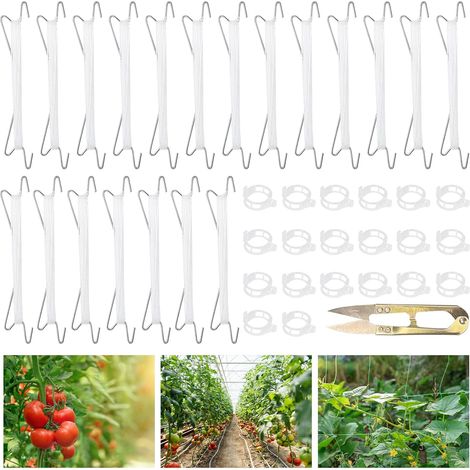 Lot de 20 crochets pour tomates, accessoires pour serres de tomates faciles à utiliser, clips pour plantes grimpantes, contient 20 cordes de levage (1/5)