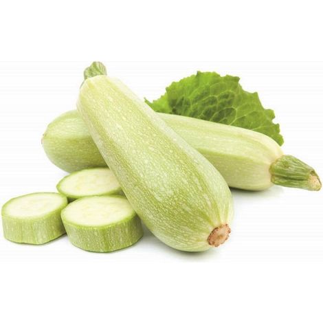Semi di zucchino "Lungo bianco di palermo" piante per orto e giardino coltivazione domestica e professionale