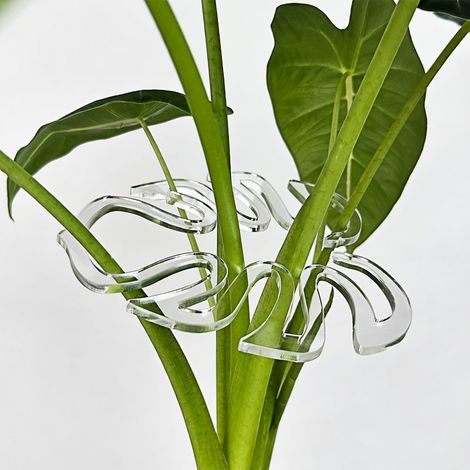 Fixateur de tiges de fleurs blanc modèle 1 (1/5)