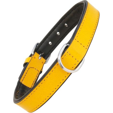 Collier pour Chien Gloria Rembourré Jaune (45 x 2 cm) (1/5)