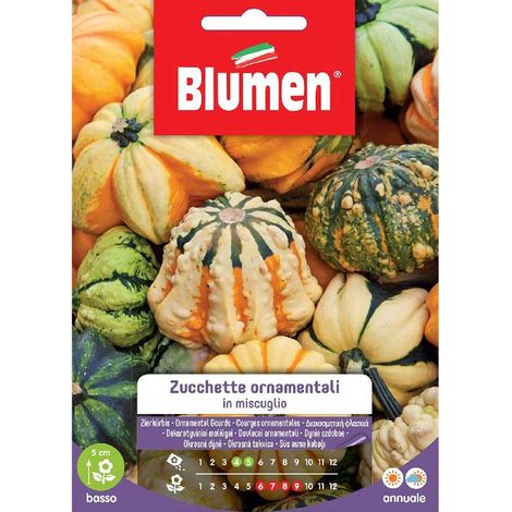 SEMI ZUCCHETTA ORNAMENTALE BLUMEN