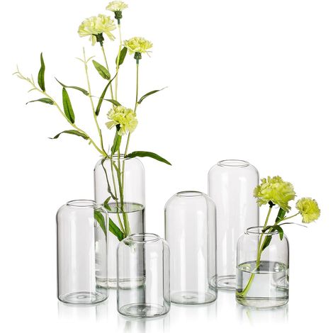 Petit Vase Decoratif Vase Verre: Lot de 6 Vase Transparent Vase Soliflore Verre, Deco Vase en Verre Cylindrique Moderne Vase Fleur pour Centre de Table, Salon, Mariage, Décoration d'Intérieur (1/5)
