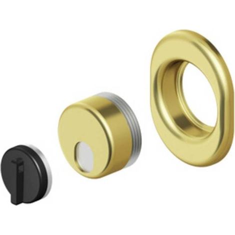 DISEC MRM29 DEFENDER MAGNETICO PLACCA MONOLITO CIL SAG PVD OTT