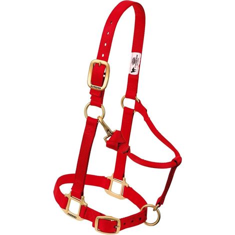 1 Licol Cheval Nylon 2,5cm Laiton Réglable Triple Épaisseur Équitation (1/4)