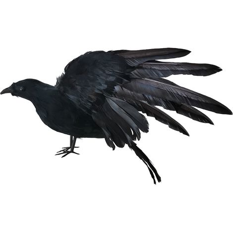 Corbeau noir réaliste de 38 cm, corbeau artificiel multifonctionnel pour décoration de fêtes (1/5)
