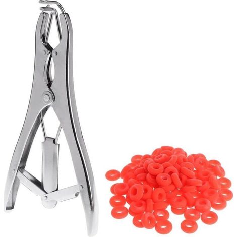 Pince d'expansion d'applicateur d'anneau de Avec 100 anneaux en caoutchouc Castration Pince de Castration Animale d'acier Inoxydable pour Le Mouton de Chien de Porc- (1/4)