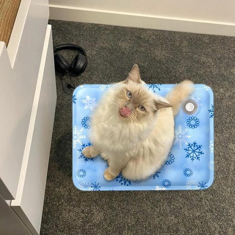 Tapis rafraîchissant pour chien et chat taille XL, tapis imperméable avec gel refroidissant et motif flocons de neige, coussin de refroidissement pour animaux, bleu (1/5)