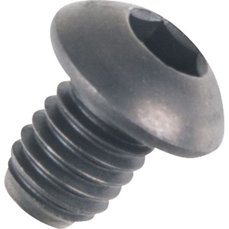 KS  TOOLS  Schraube  M6  -  160.0090-R010P