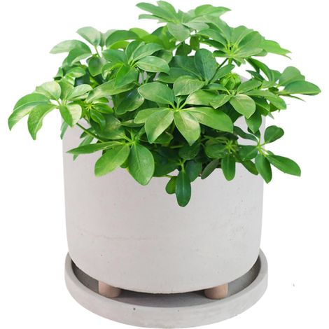 Blumentopf Moderner Pflanztopf mit Fuß für den Innenraum