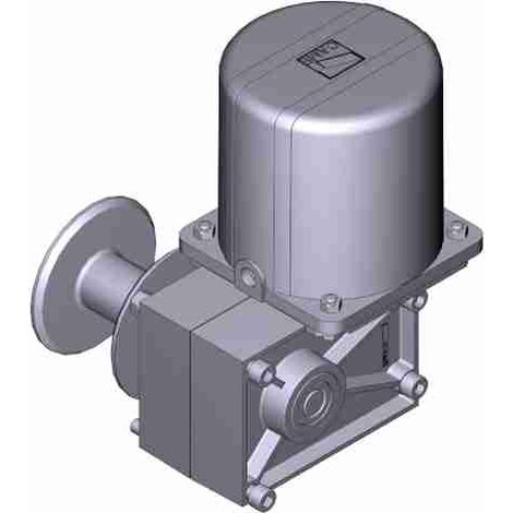 Motorreductor Motor Eléctrico Cat-X 230V Repuesto CAME 119RIX023
