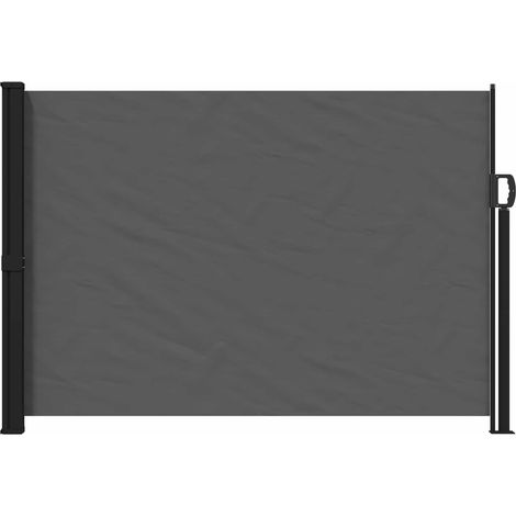Maison Exclusive - Tenda laterale retrattile Antracite 300 x 170 cm Poliestere