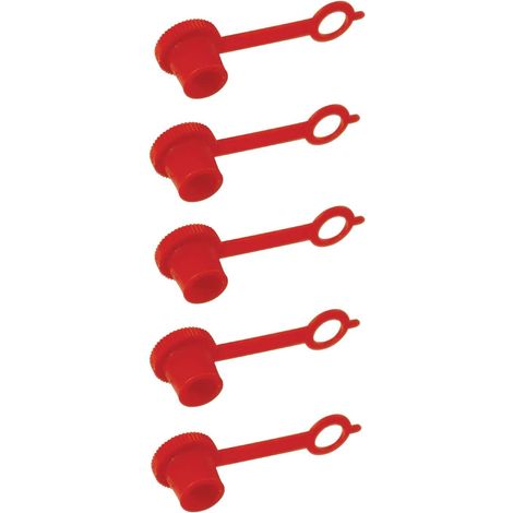 Cyclingcolors – Lot de 5 capuchons de protection pour graisseur – Plastique rouge – Anti poussière 6mm – Protection durable pour graisseurs (1/2)