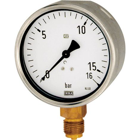 Riegler Manometer, Robustausführung, G 1/2 unten, 0 - 60,0 bar, Ø 160 (1/2)