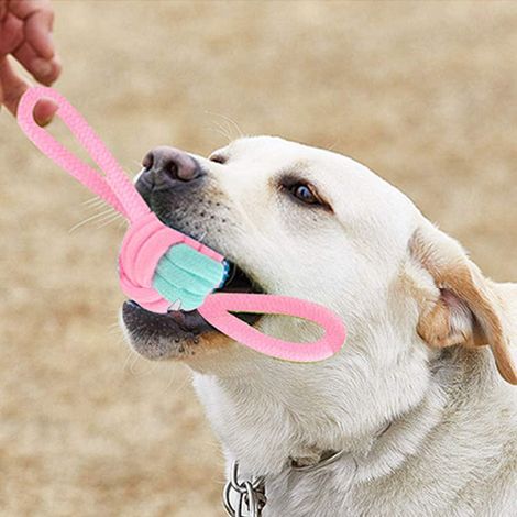 Ensemble de 13 jouets à tirer pour les dents des chiots - Jouet interactif résistant aux morsures pour chiens de petite et moyenne taille - Jouet à tirer puissant en corde.