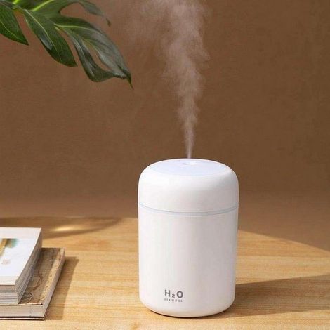 Mini-Luftbefeuchter, 300 ml Ultraschall-Tischvernebler mit Umgebungslicht, USB-Anschluss (1/5)