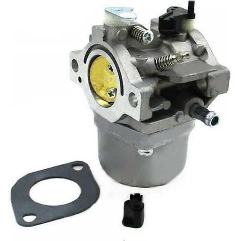 Carburateur pour moteur Briggs & Stratton 12,5 CV (1/5)