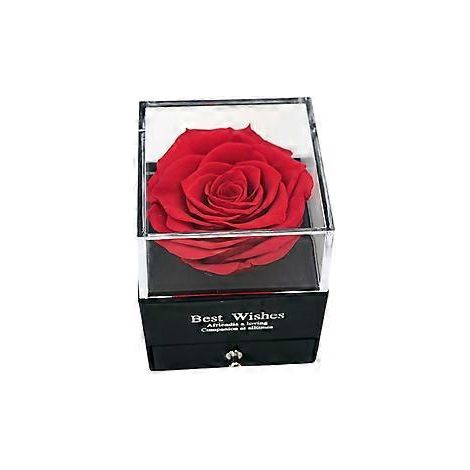 Schmuckkästchen mit natürlichen, ewigen Rosen, konservierte Blumen, Valentinstag-Verlobungsring für C, Rot (Rot)