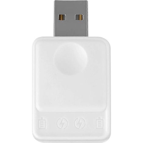 Bouée de pêche électrique, chargeur de pile CR425, bouée de pêche LED portable, chargeur de pile CR425 USB, accessoires de pêche (1/5)