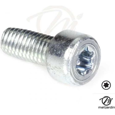 Vis Torx 27 M5 x 12 pour tronçonneuse Stihl 017 MS170 (1/3)