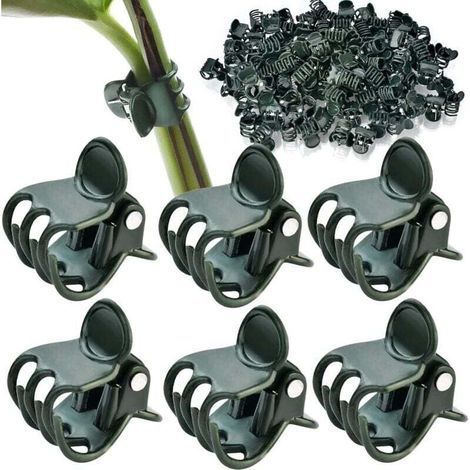 Pack of 100 climbing plant clips, for supporting stems and climbing plants. (1/4)