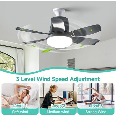 Deckenventilator mit Licht und Fernbedienung, geräuscharmer Deckenventilator mit Lampe, kleiner 6-Blatt-LED-Deckenventilator mit Licht fürs Schlafzimmer, 3 Geschwindigkeitsstufen (1/5)