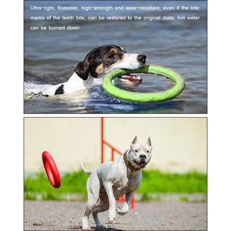 Anneau de jeu flottant pour chien, disque volant interactif en EVA, jouet d'entraînement extérieur pour animaux. (1/5)