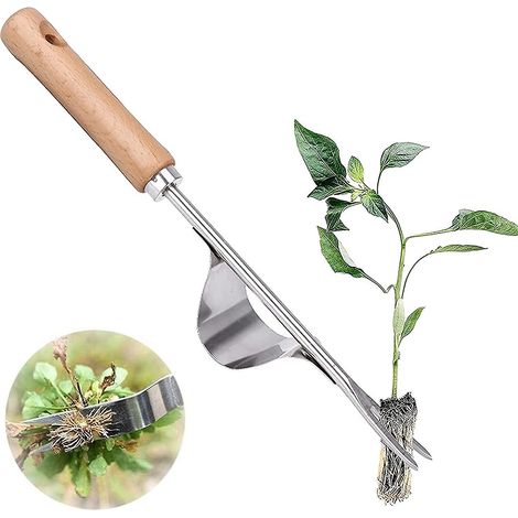 outil De Dsherbage Manuel Dsherbeur Manuel En Acier Inoxydable Avec Poigne Bois Dsherbeur Manuel Outil Pour Poignes De Dsherbage Extracteur De Pis (1/5)