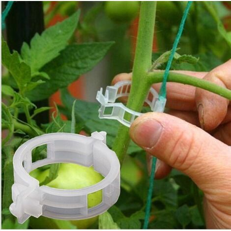 100PCS Support de plantes Clips de jardin Clips de tomate Prend en charge / relie les plantes / fic