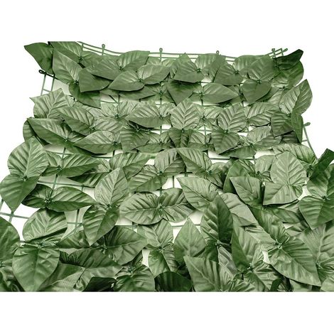Rete di edera 100 x 300 cm